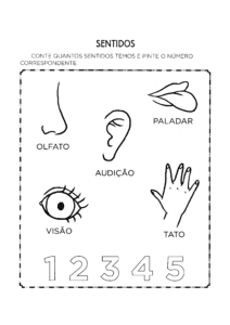 Atividades sobre os Cinco Sentidos 212x300 - Atividades sobre os Cinco Sentidos para Educação Infantil